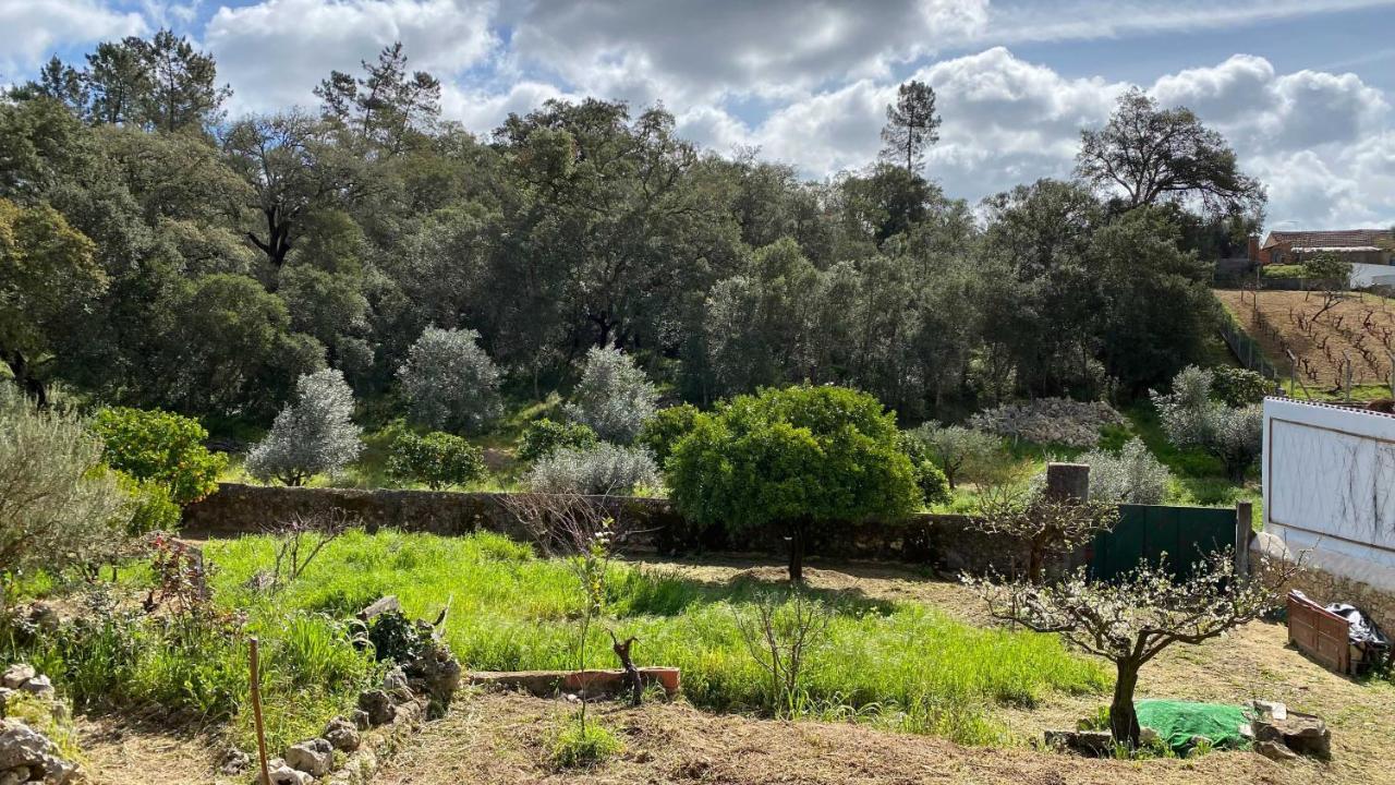 Casalinho In Portugal Country House Tomar Dış mekan fotoğraf